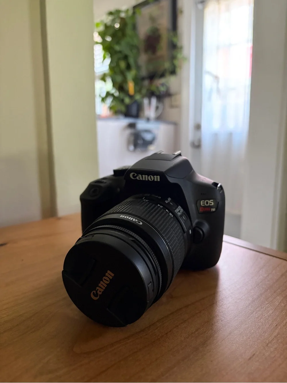 Canon EOS Rebel T6 DSLR Camera in Black with Kit Lens